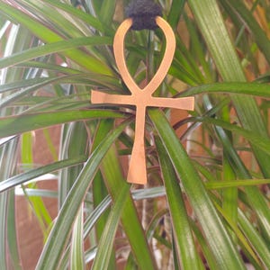 Puede incluir: Un collar con colgante Ankh de color cobre con un cordón negro, sobre un fondo de hojas de plantas verdes y rojizas. El símbolo Ankh es una cruz con un lazo en la parte superior, un símbolo egipcio tradicional.
