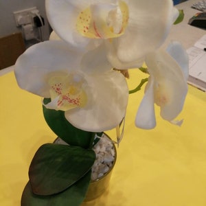 May include: A white orchid plant with green leaves in a clear glass vase filled with white stones.