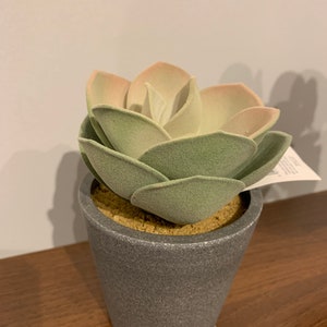 May include: A small, artificial succulent plant in a grey pot. The succulent has green and pink leaves and is in a grey pot with a rough texture.