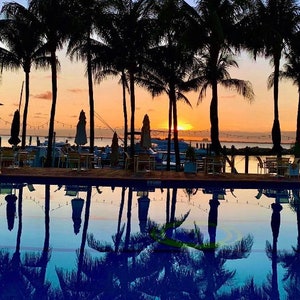 May include: A swimming pool with a view of a sunset over a marina. Palm trees line the pool and are reflected in the water.