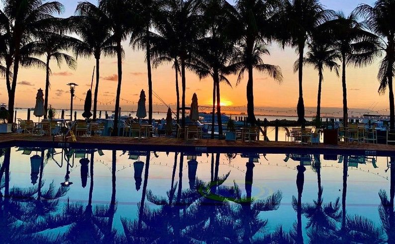 May include: A swimming pool with a view of a sunset over a marina. Palm trees line the pool and are reflected in the water.