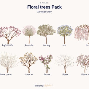 Tree Palette Vol. 3 – Flowering Trees – Minimal Color Illustrations – PNG, AI, EPS – Vegetation Cutouts for Architecture & Design