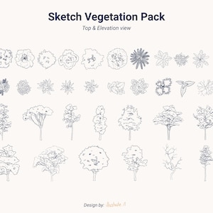 Skizzen-Vegetations-Vektorsatz – Draufsicht und Höhenansicht – PNG- und AI-Dateien – Ressourcen für Architektur und Grafikdesign