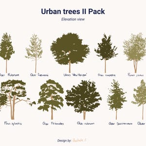 Tree Palette Vol. 2 – Minimal Color Illustrations with Scientific Labels – PNG, AI, EPS – Vegetation Cutouts for Architecture & Design