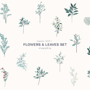 Set of 15 Flat Vector Flowers & Leaves – PNG, AI, SVG – Vegetation Cutouts for Architecture and Design