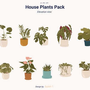 Flat vector house plants, vector flowers, home plants cutout vectors