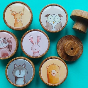 Könnte beinhalten: Eine Sammlung von Holzschrankknöpfen mit Tierillustrationen. Die Knöpfe zeigen ein Reh, eine Eule, einen Waschbären, ein Kaninchen, einen Wolf und einen Bären. Die Knöpfe haben einen hellbraunen Holzrahmen und ein glänzendes, farbenfrohes Tierbild.