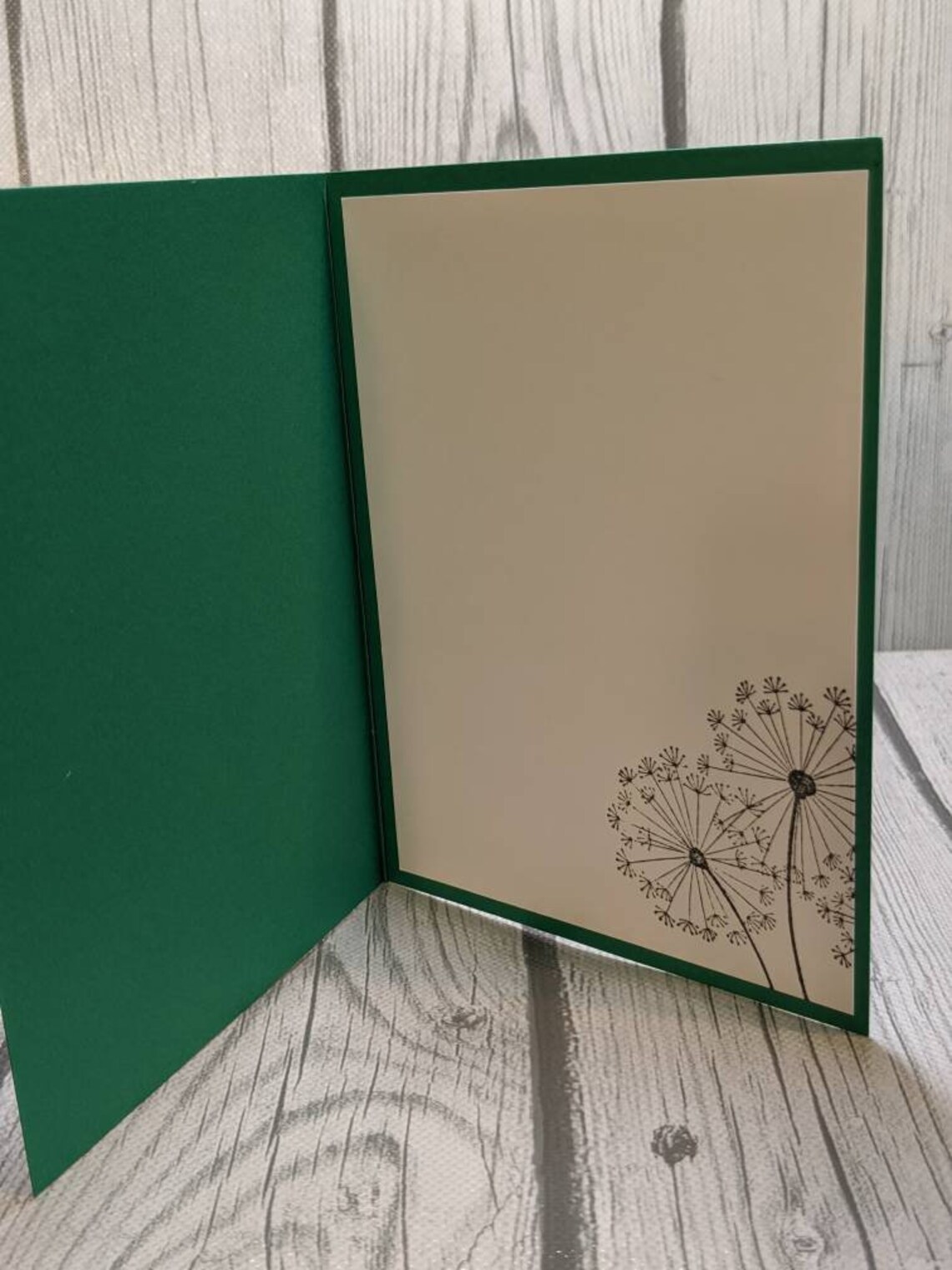 Thinking of You Cards, Get Well Cards, Stampin up Dandelion Wishes