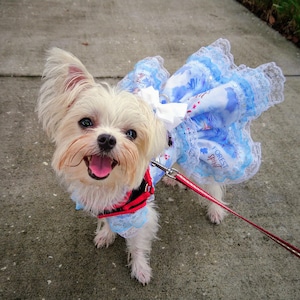 Frozen themed Blue and White Custom Made Harness Dress For Small Breed Dog and Puppy