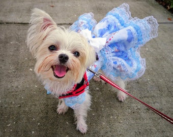 Frozen themed Blue and White Custom Made Harness Dress For Small Breed Dog and Puppy