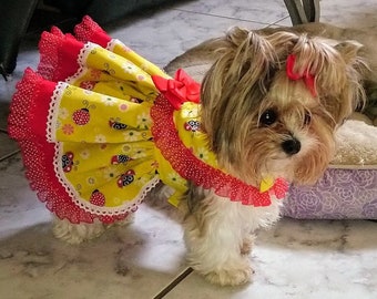 Sweet Spring, Summer, Hand Made Harness Pet Dress For Small Breed Dogs and Puppies