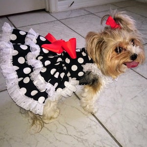 Black and White Polka Dots, Elegant Custom Made Harness Dress For Small Breed Dog and Puppy