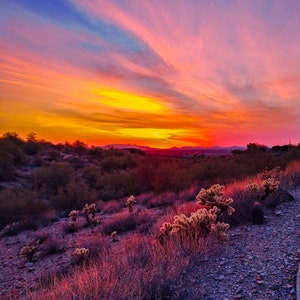 GORGEOUS Phoenix Arizona Sunset - Digital Download Printable Photo- Frame Print Wall Art Macro Photography - Scottsdale Desert Valley Cholla