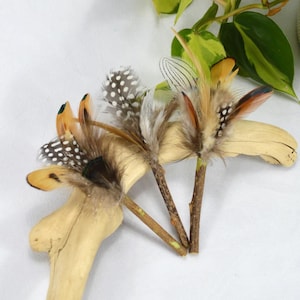 Mini Silvervine Sticks - (Matatabi Chewing Stick)