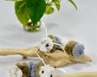 Caterpillar  - Noisy Catnip Cat Toss Toy