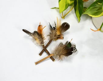 Mini Silvervine Sticks - (Matatabi Chewing Stick)