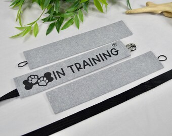 Steel - Dog Leash Sleeve