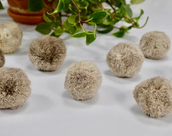 Pompons en peau de caribou - Pompon en fourrure pour chat / Jouet à lancer de fourrure naturelle / Jouet pour chat / Jouet d'énigme pour chat / Jouet d'énigme / Jouet pour chat avec clochette / Jouet à lancer pour chat