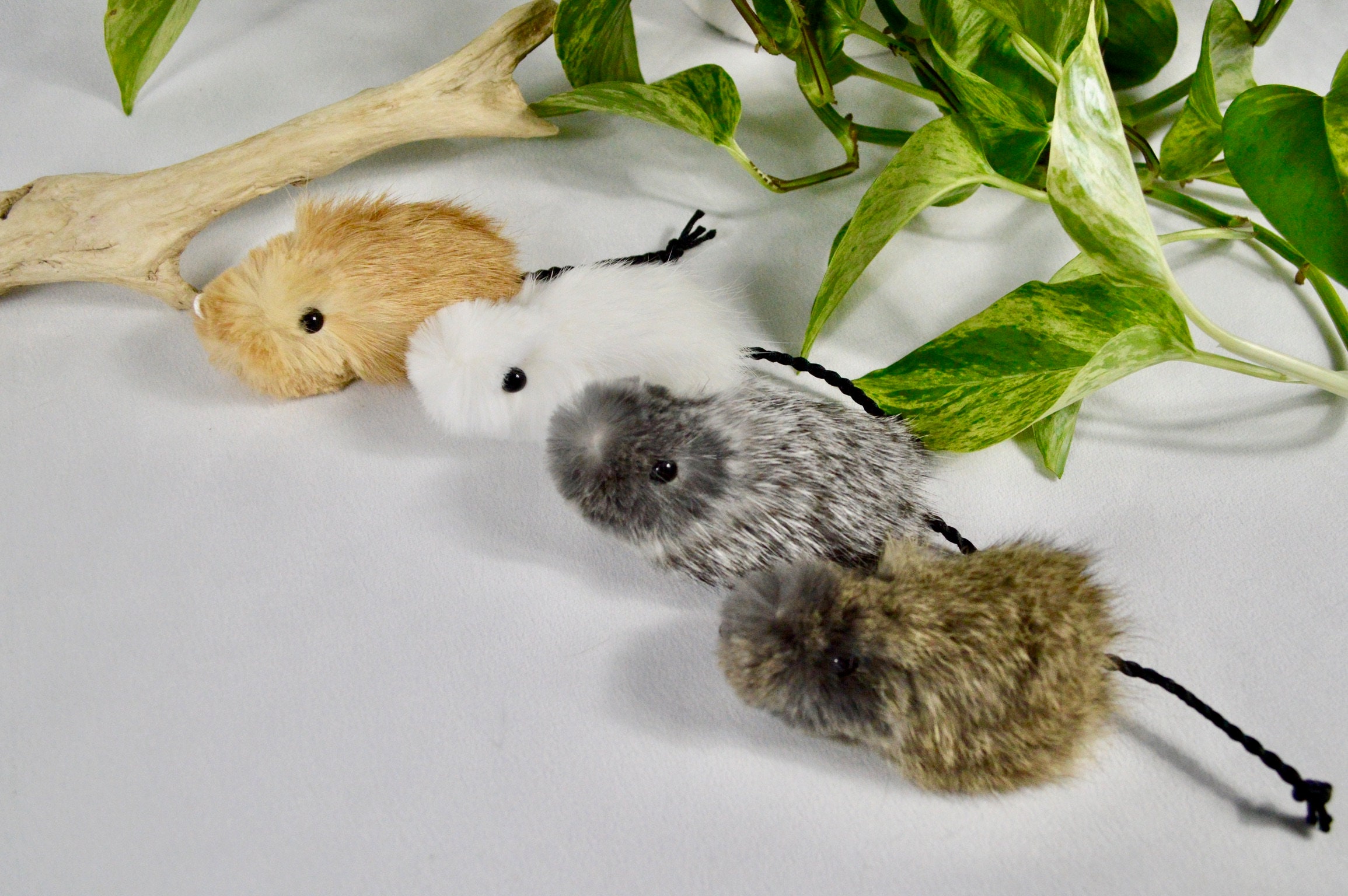 Noisy Cat Toys Etsy UK