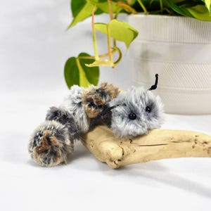Caterpillar - Jouet à lancer d'herbe à chat bruyant / Jouet pour chat avec herbe à chat / Jouet pour chat qui s'agite / Jouet à lancer pour chat / Jouet à lancer d'herbe à chat bruyant / Jouet à jeter / Herbe à chat / Cadeau pour chat