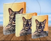 Acrylic Block Cartoon Pets Acrylic Blocks Custom Pet Portraits Home Decor Table Top Pictures Family Photos Pet Photo Gifts