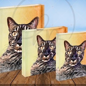 Acrylic Block Cartoon Pets | Acrylic Blocks | Custom |Pet Portraits | Home Decor | Table Top Pictures | Family Photos | Pet Photo Gifts