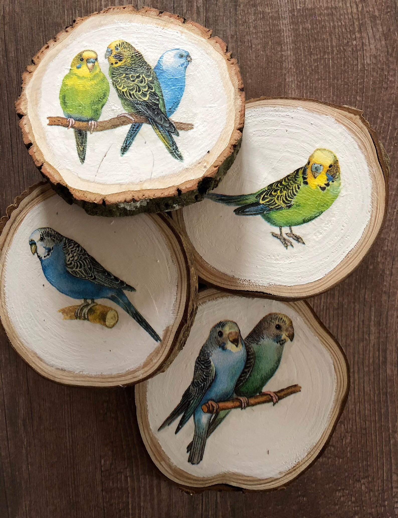 Budgie Wood Slice Hanging Decoration Etsy