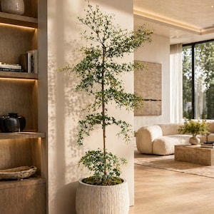 May include: A tall, slender tree with green foliage in a large, textured, light-colored pot. The pot has vertical grooves. The tree is positioned indoors, near a wall and a wooden shelf. The room has a neutral color palette.