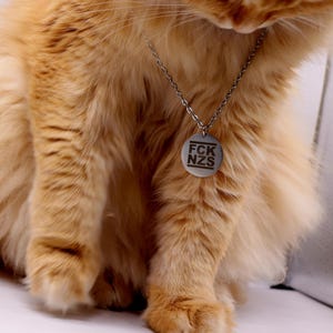 Könnte beinhalten: Eine silberne Halskette mit Anhänger und dem Text "FCK NZS" auf einem runden Anhänger. Die Halskette wird von einer flauschigen, orangefarbenen Katze getragen, wobei die Kette auf dem Fell der Katze aufliegt. Die Katze sitzt auf einer weißen Oberfläche.