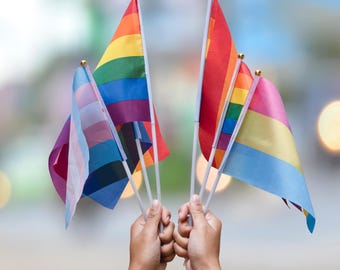 Mini drapeaux 21 x 14 cm