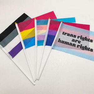 Op de afbeelding: Een verzameling kleine vlaggen met witte stokken. De vlaggen tonen verschillende LGBTQ+-trotsymbolen, waaronder de aseksuele, panseksuele en transgender vlaggen. Eén vlag toont de tekst "trans rights are human rights" in zwarte letters.