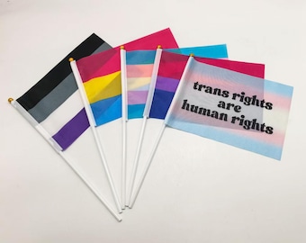 Mini flags 21 x 14 cm, all known Pride flags