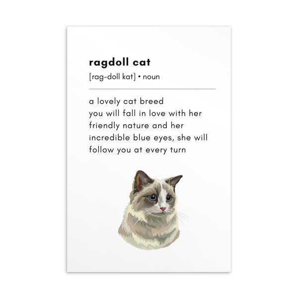 Ragdoll Postcard