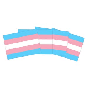 Trans* vlagsticker