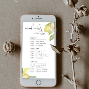 Modello di itinerario del fine settimana per addio al nubilato al limone. Itinerario di pianificazione elettronico. E-mail con sequenza temporale del fine settimana della festa nuziale digitale