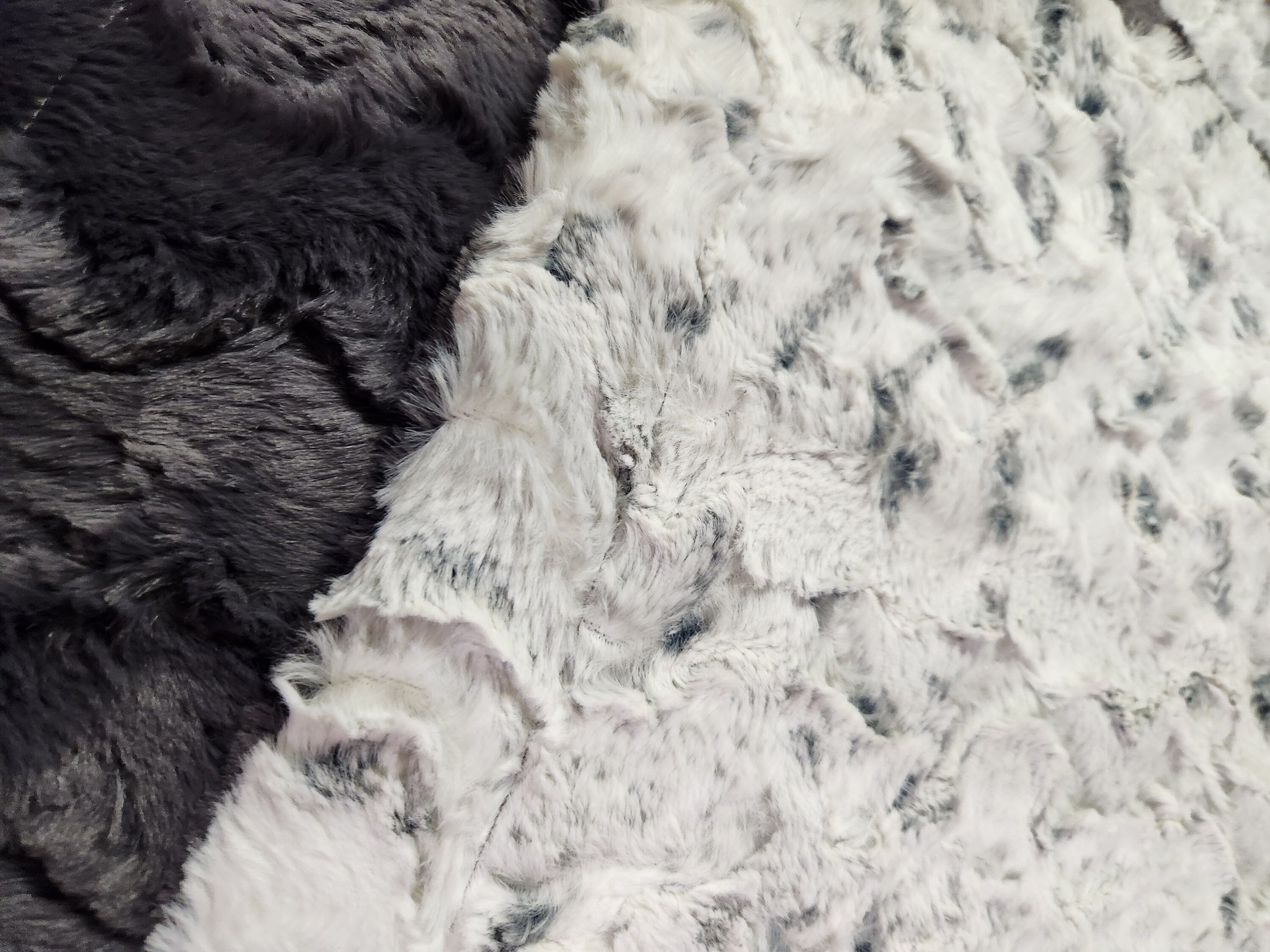 Rockin Royalty Minky Snowy Owl Baby Blanket
