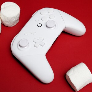 Custom Frost White Nintendo Switch Pro Controller image 1
