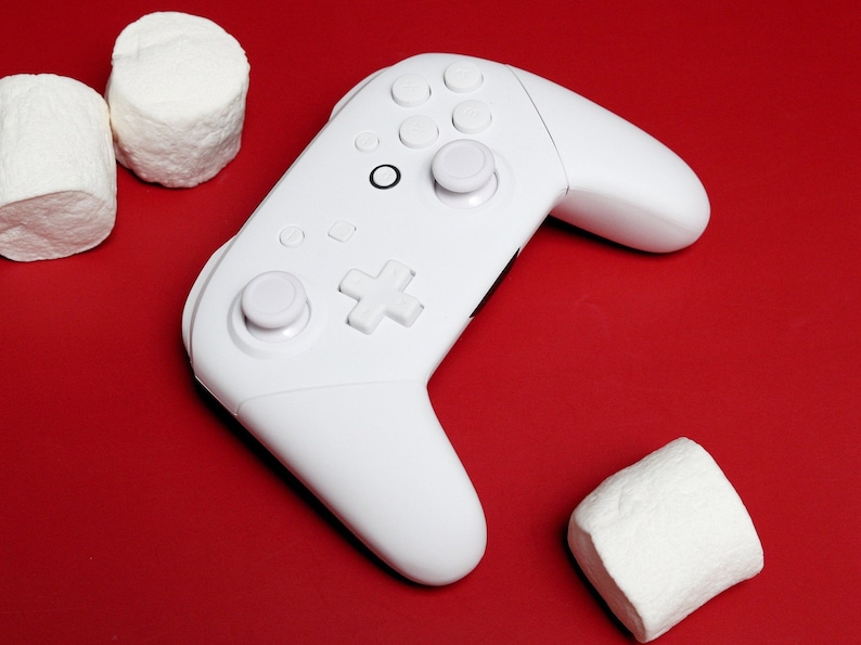 Custom Frost White Nintendo Switch Pro Controller image 1