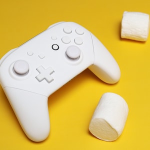 Custom Frost White Nintendo Switch Pro Controller image 2