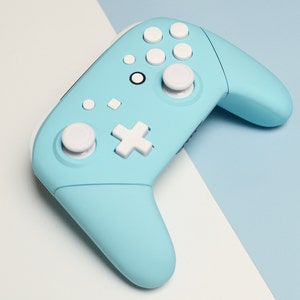 Custom Sea Salt Pastel Blue and White Nintendo Switch Pro Controller