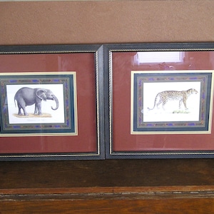 Elephant and Leopard Framed Art Prints Pair (2)