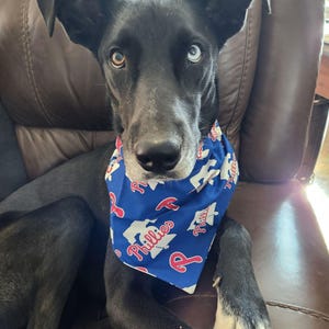 Phillies Pet Bandana - Over The Collar