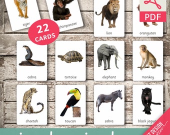 JUNGLE ANIMALS • 22 Editable Montessori Cards • Flash Cards Nomenclature FlashCards Editable Pdf Printable Cards preschool