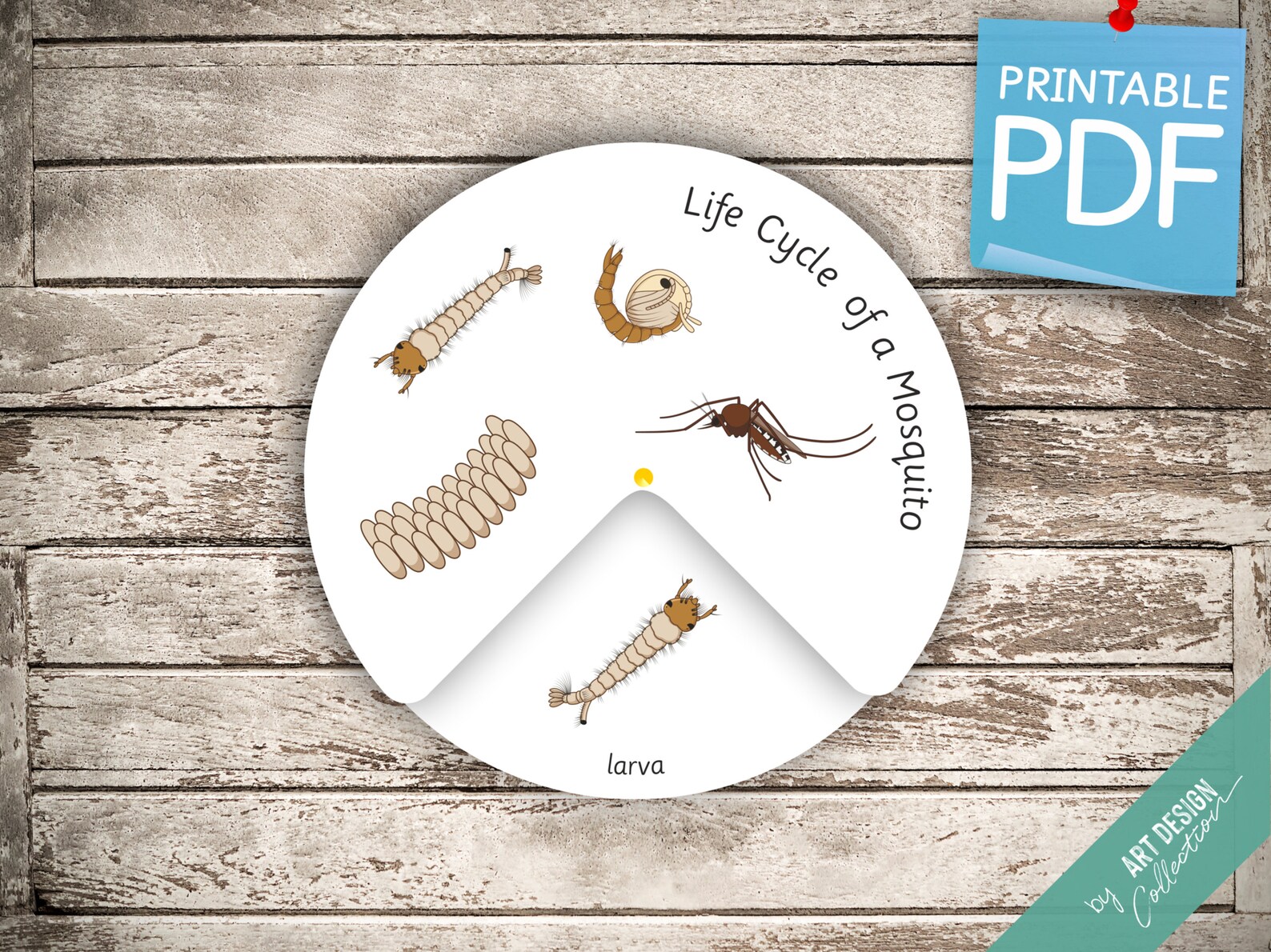 LIFE CYCLE of a MOSQUITO Wheel • Montessori Busy Book Activity ...