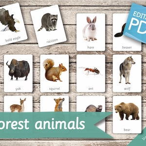FOREST ANIMALS real pictures 22 Editable Montessori Cards Flash Cards Nomenclature FlashCards Editable PDF Printable Cards preschool zdjęcie 2