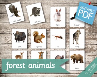 Lernkarten Kleinkinder Realistische Tierfiguren Sets Kleink Esoes Baby Flash Karten 12 Stück Farm Animal Toys Wild Life Lernkarten Lernkarten Kleinkinder Realistische Tierfiguren Sets Kleink Esoes Baby Flash Karten 12 Stück Farm Animal Toys Wild Life Lernkarten