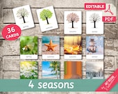 4 SEASONS • 36 Editable Montessori Cards • Flash Cards  Nomenclature Cards  Editable Toys Pdf  preschool Cards Spring Summer Autumn Winter