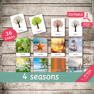 4 SEASONS • 36 Editable Montessori Cards • Flash Cards  Nomenclature Cards  Editable Toys Pdf  preschool Cards Spring Summer Autumn Winter