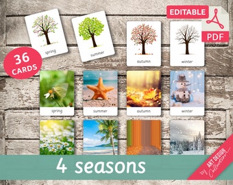 4 SEASONS • 36 Editable Montessori Cards • Flash Cards  Nomenclature Cards  Editable Toys Pdf  preschool Cards Spring Summer Autumn Winter