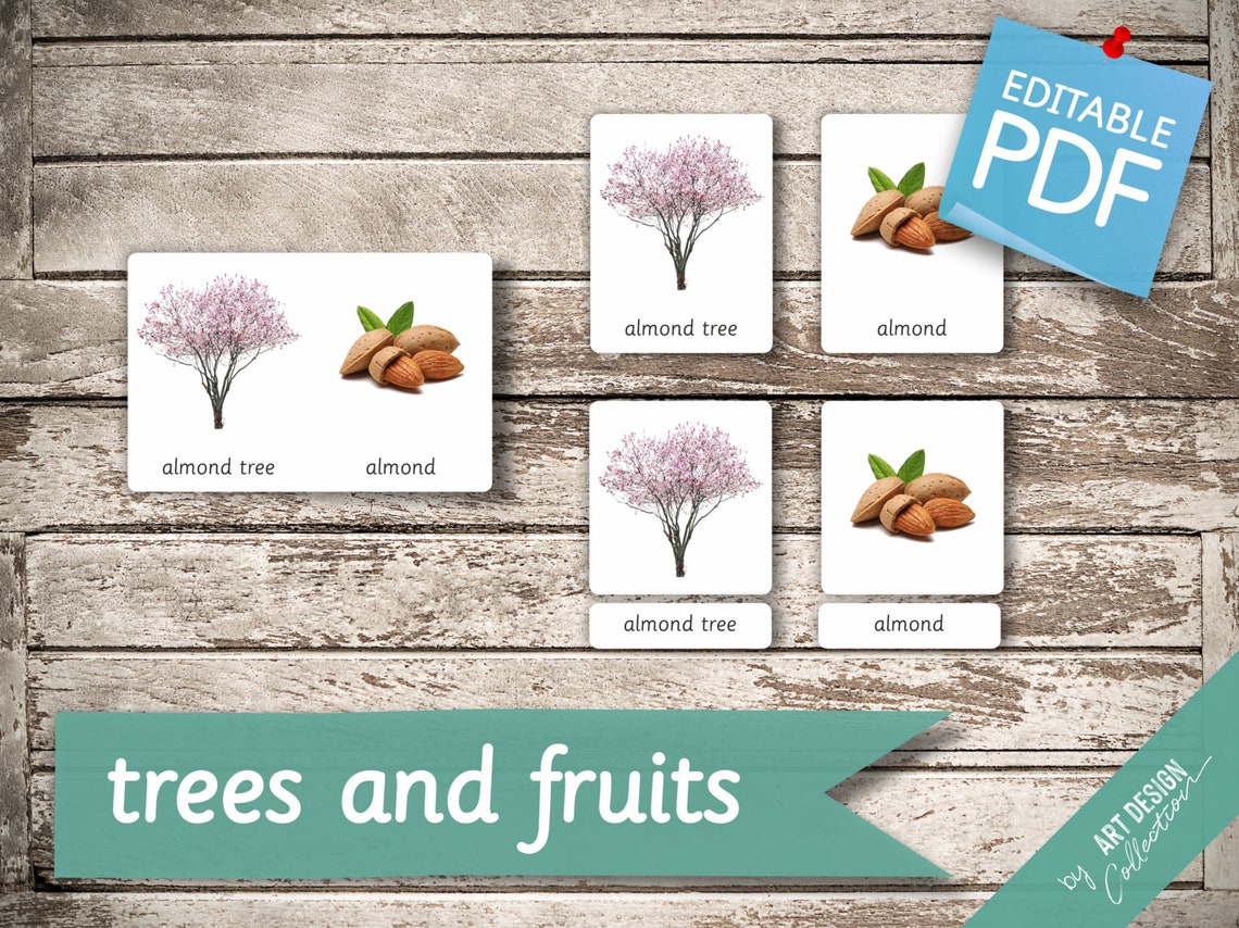 TREES AND FRUITS • 48 Montessori Cards • Flash Cards Nomenclature ...